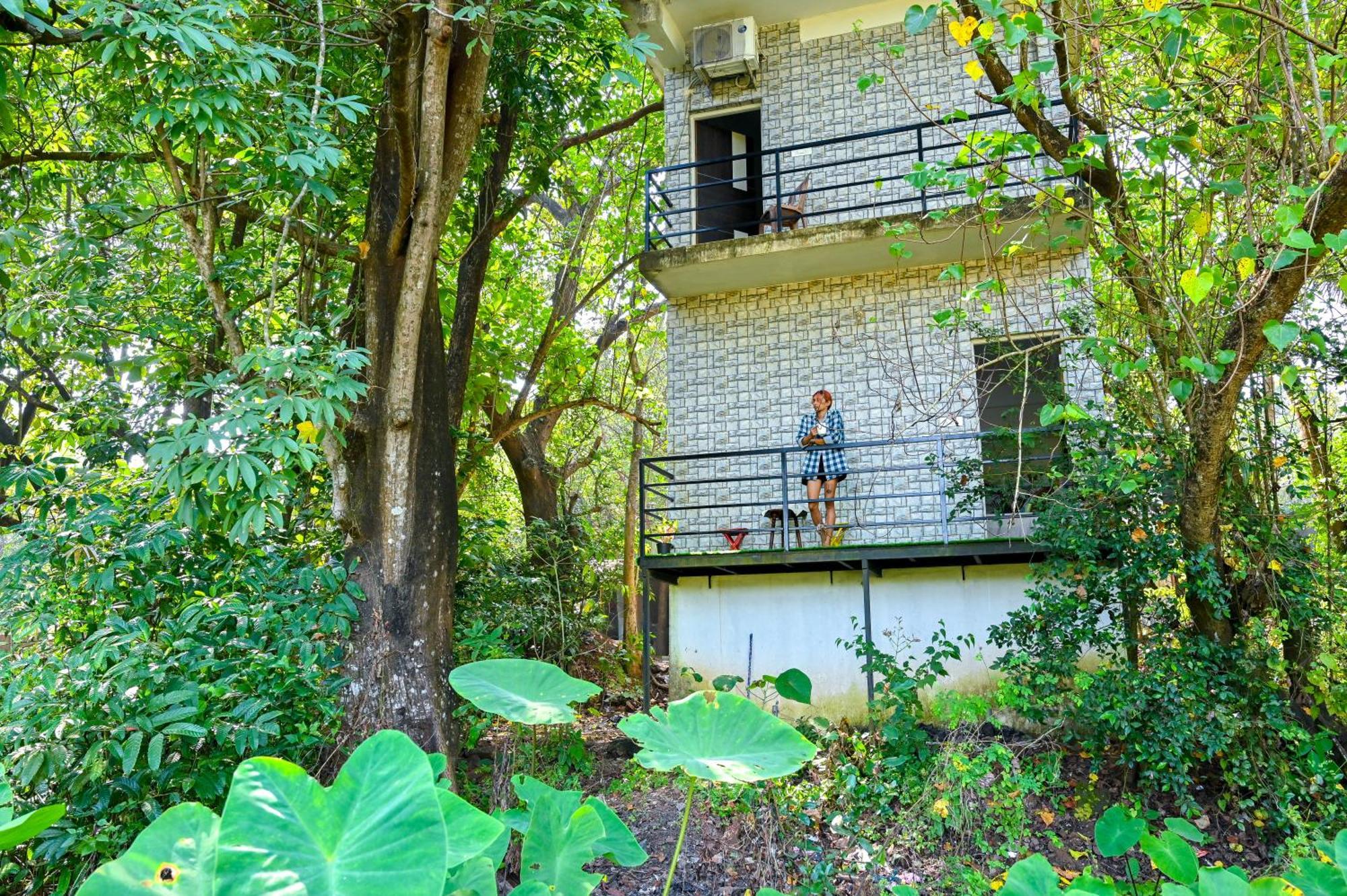 Shell House - Private Stay With Garden View In Arambol Mandrem Eksteriør billede